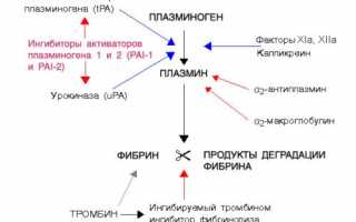 Препарат Серрата и его доступные заменители для здоровья