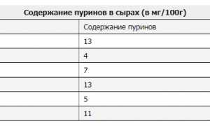Можно ли употреблять сыр при лечении подагры? Важные рекомендации