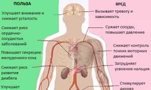 Выясняем, как влияет кофе на состояние суставов и общее здоровье