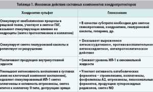 Хондропротекторы при артрозе суставов: обзор форм, принципы лечения и рекомендации