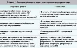 Хондропротекторы при артрозе суставов: обзор форм, принципы лечения и рекомендации