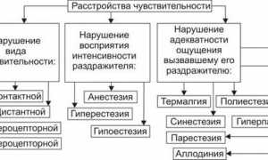 Причины онемения ног при межпозвоночной грыже и лечебные меры для восстановления здоровья