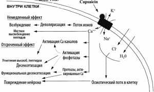 Никофлекс — эффективный препарат от боли в суставах и воспалениях