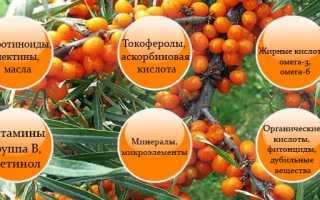 Выясняем как лечить подагру с помощью облепихи и народных средств