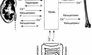 Эффективность применения препарата Рокальтрол в лечении заболеваний