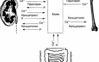 Эффективность применения препарата Рокальтрол в лечении заболеваний