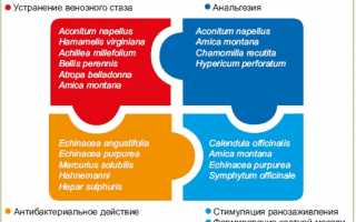 Использование препарата Траумель в виде капель для лечения
