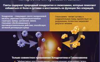 Применение и состав крема Артропант для лечения суставов: полезные свойства и рекомендации