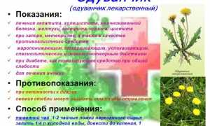Эффективное лечение болезней суставов одуванчиком в домашних условиях