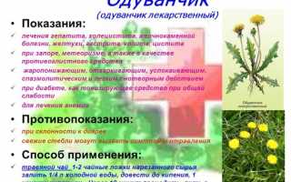 Эффективное лечение болезней суставов одуванчиком в домашних условиях