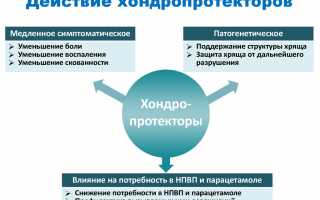 Обзор хондропротекторов нового поколения для лечения суставов и их эффективности