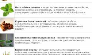 Эффективность применения пластыря Маочжэн при болевом синдроме: исследования и результаты