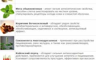 Эффективность применения пластыря Маочжэн при болевом синдроме: исследования и результаты