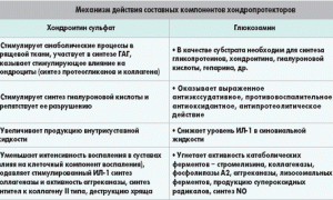 Эффективное лечение коксартроза тазобедренного сустава в домашних условиях: советы и рекомендации
