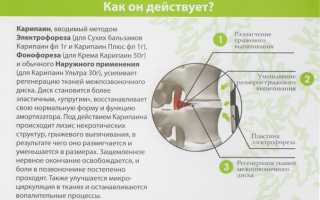 Применение Карипаина при лечении болезней суставов и их профилактике