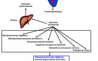 Гидрокортизон — препарат для здоровья суставов и их восстановления