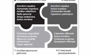 Применение уколов Траумель при болях в спине и суставах для улучшения здоровья
