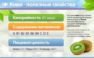 Можно ли кушать киви и блюда на его основе при подагре? Узнайте мнение врачей