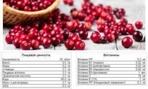 Особенности употребления клюквы при подагре для здоровья