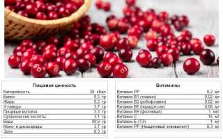 Особенности употребления клюквы при подагре для здоровья