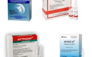 Преимущества использования препарата Артогистан для здоровья суставов