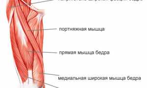 Чем лечить растяжение бедренных мышц и связок в домашних условиях?