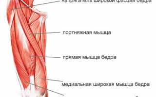 Чем лечить растяжение бедренных мышц и связок в домашних условиях?