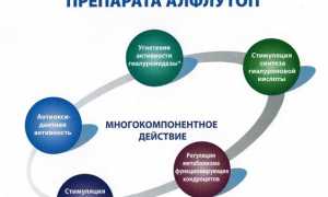 Что лучше выбрать Хондрогард или Алфлутоп? Сравнение и рекомендации