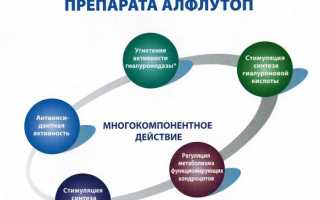 Что лучше выбрать Хондрогард или Алфлутоп? Сравнение и рекомендации