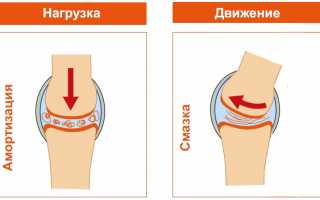Геленк Нарунг – эффективный препарат для суставов и их здоровья