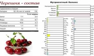 Польза черешни при подагре и вкусные рецепты для здоровья