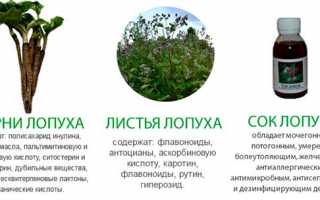 Как использовать лопух в целях лечения подагры и улучшения здоровья?