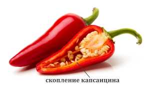 Приготовление настойки для суставов из жгучего перца и ее применение в народной медицине
