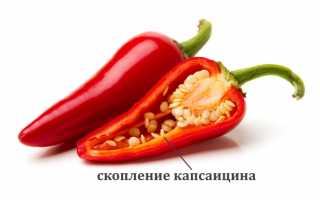 Приготовление настойки для суставов из жгучего перца и ее применение в народной медицине