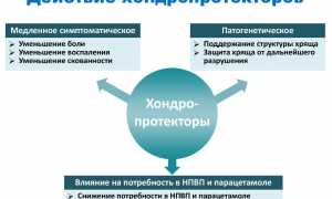 Биартрин — эффективное средство для лечения суставов и восстановления подвижности