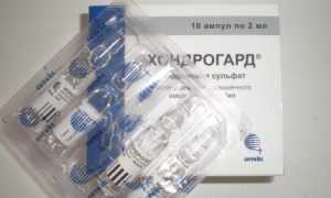 Описание действенных аналогов препарата Хондролон для здоровья суставов