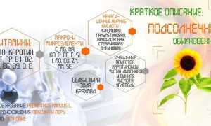 Как использовать корень подсолнуха при больных суставах для улучшения здоровья?