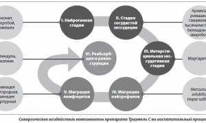 Противовоспалительный препарат Траумель в таблетках для здоровья