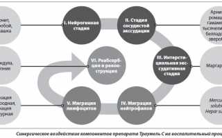 Противовоспалительный препарат Траумель в таблетках для здоровья