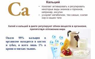 Какие аналоги существуют у препарата Кальцемин? Полный обзор