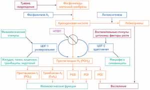 Купирование боли при подагре с помощью Ибупрофена: эффективные методы и рекомендации