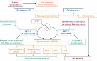 Купирование боли при подагре с помощью Ибупрофена: эффективные методы и рекомендации