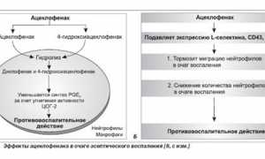 Зеродол — эффективное противовоспалительное лекарство для здоровья