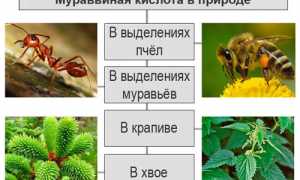 Как использовать муравьиный спирт при болях в суставах? Полезные советы и рекомендации
