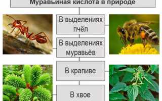 Как использовать муравьиный спирт при болях в суставах? Полезные советы и рекомендации