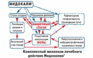 Применение таблеток Мидокалм при болезнях суставов и их эффективности