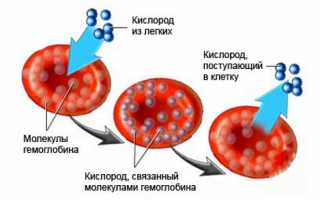 Особенности выполнения массажа при болезни Бехтерева для улучшения состояния