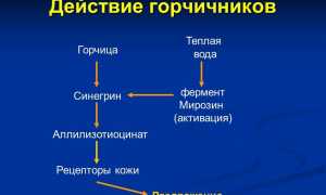 Применение горчичников при шейном остеохондрозе для облегчения симптомов