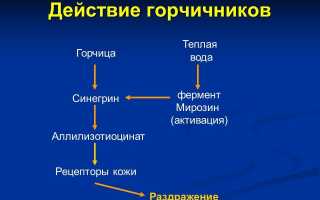 Применение горчичников при шейном остеохондрозе для облегчения симптомов