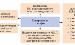 Применение бальзама Живокост для лечения суставов и улучшения подвижности
